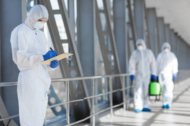 Best Mold Damage Restoration  in Rathdrum, ID