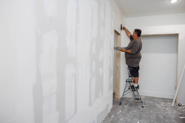 Best Mold-Related Health Consultation  in Rathdrum, ID