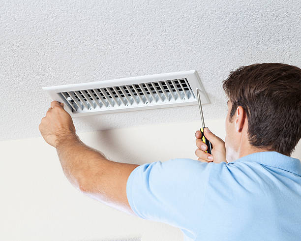 Best Attic Mold Removal  in Rathdrum, ID