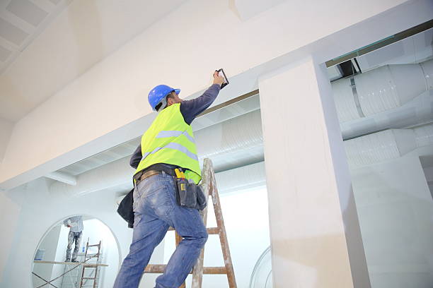 Mold Odor Removal Services in Rathdrum, ID