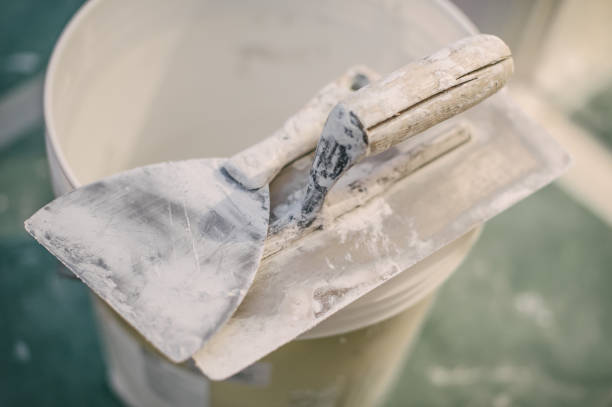 Best Environmental Consulting for Mold Prevention  in Rathdrum, ID
