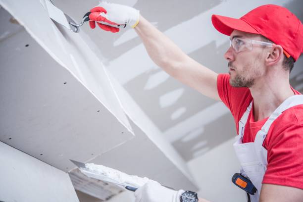 Best Basement Mold Removal  in Rathdrum, ID